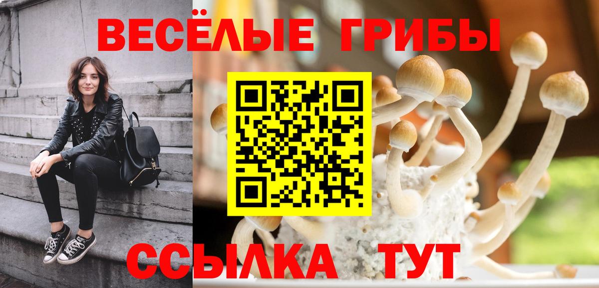 Ульяновск  Псилоцибиновые грибы Psilocybine cubensis  Вход с VPN  Псилоцибиновые грибы Magic Shrooms 