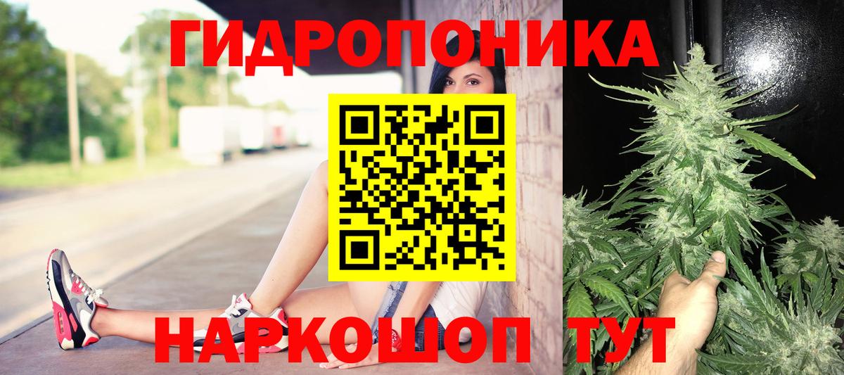 Канабис семена  Марихуана AK-47  Бошки марихуана THC 21%  Ульяновск  Вход с VPN 